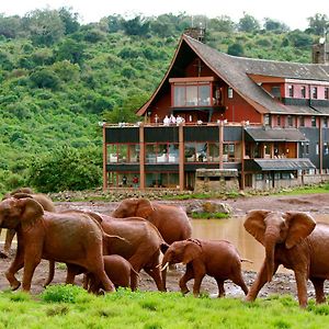 The Ark Lodge